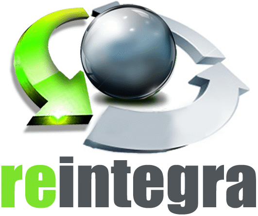 RECICLADOS INTEGRALES DEL SUR
